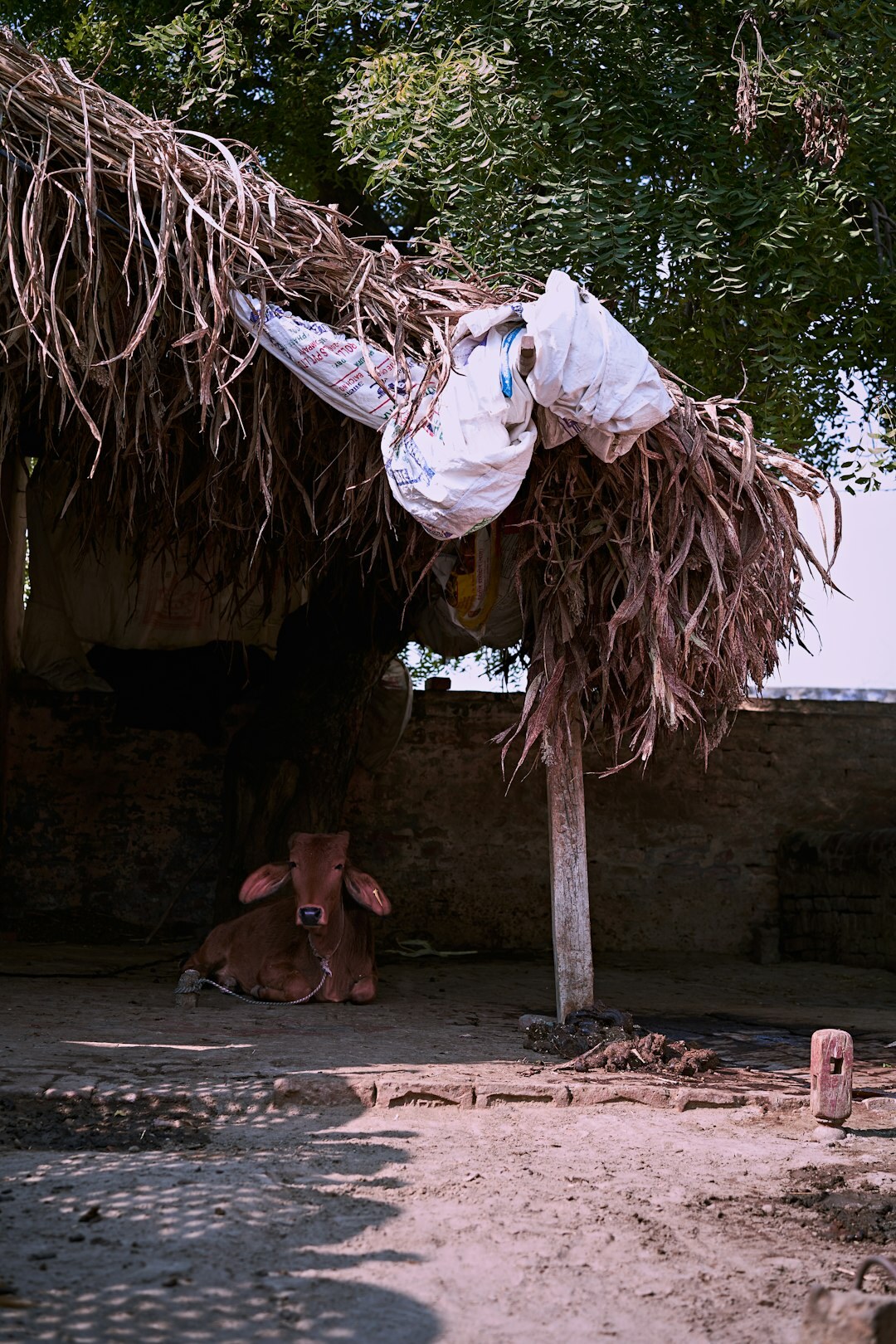 documentary photographer in village