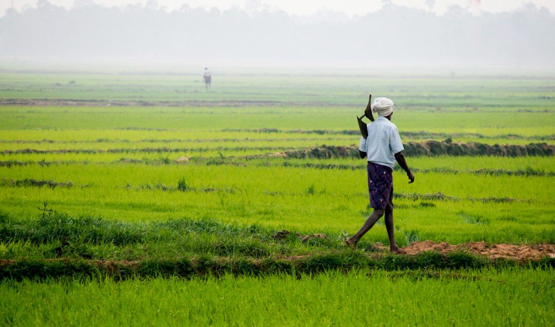 farmer working field
